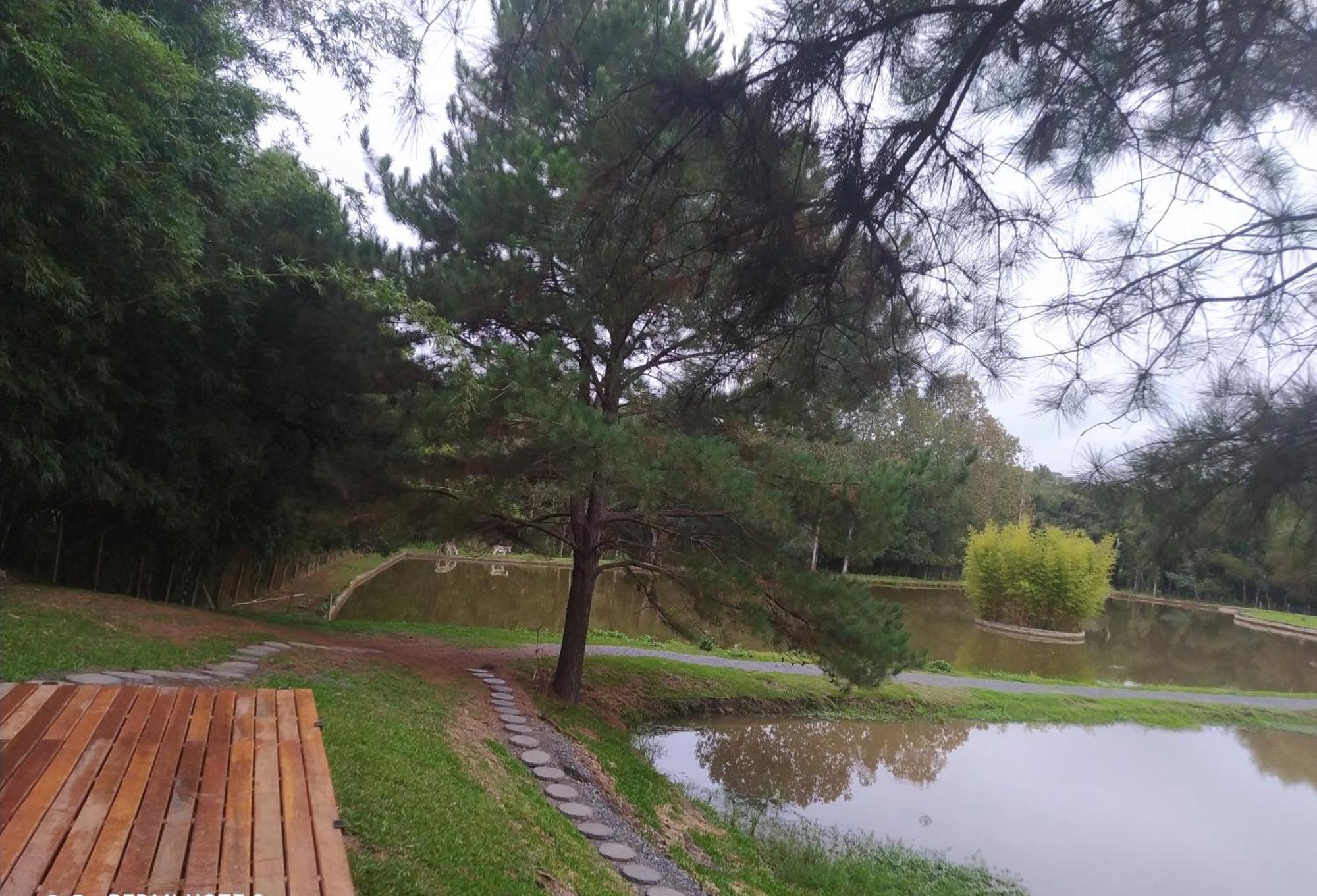 Carpe Diem 1 * Campo Largo